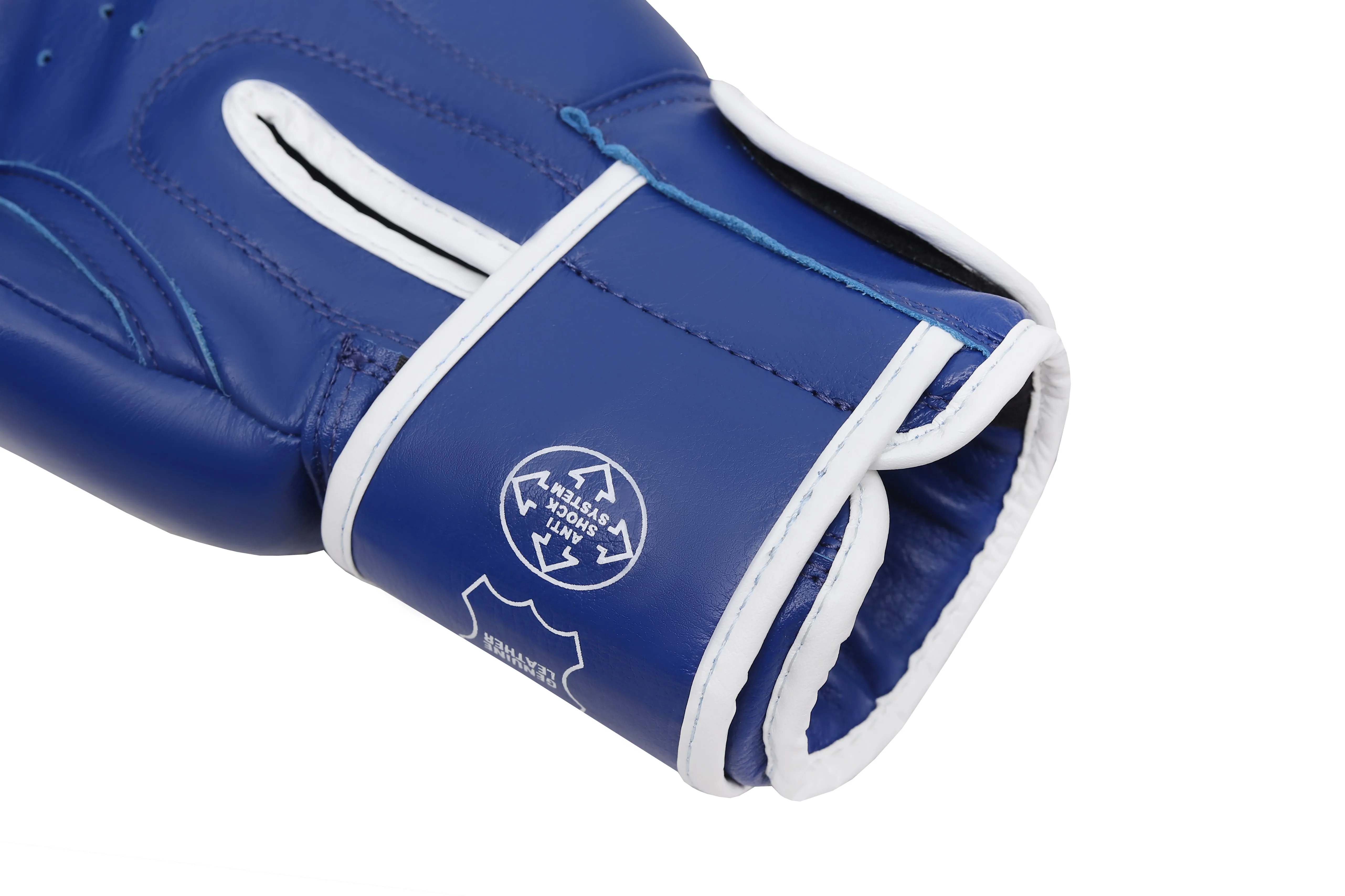 Boxing Gloves TIGER WITH TARGET