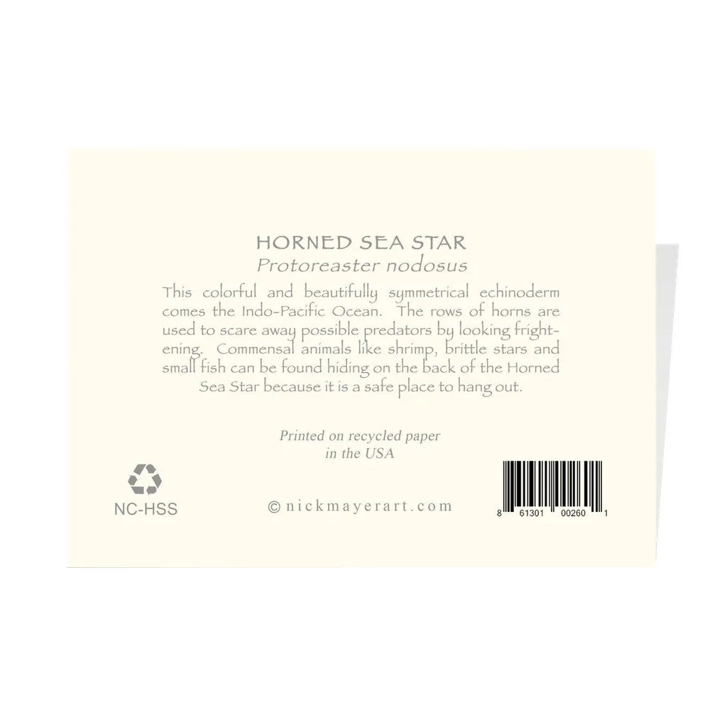 Horned Sea Star Notecards