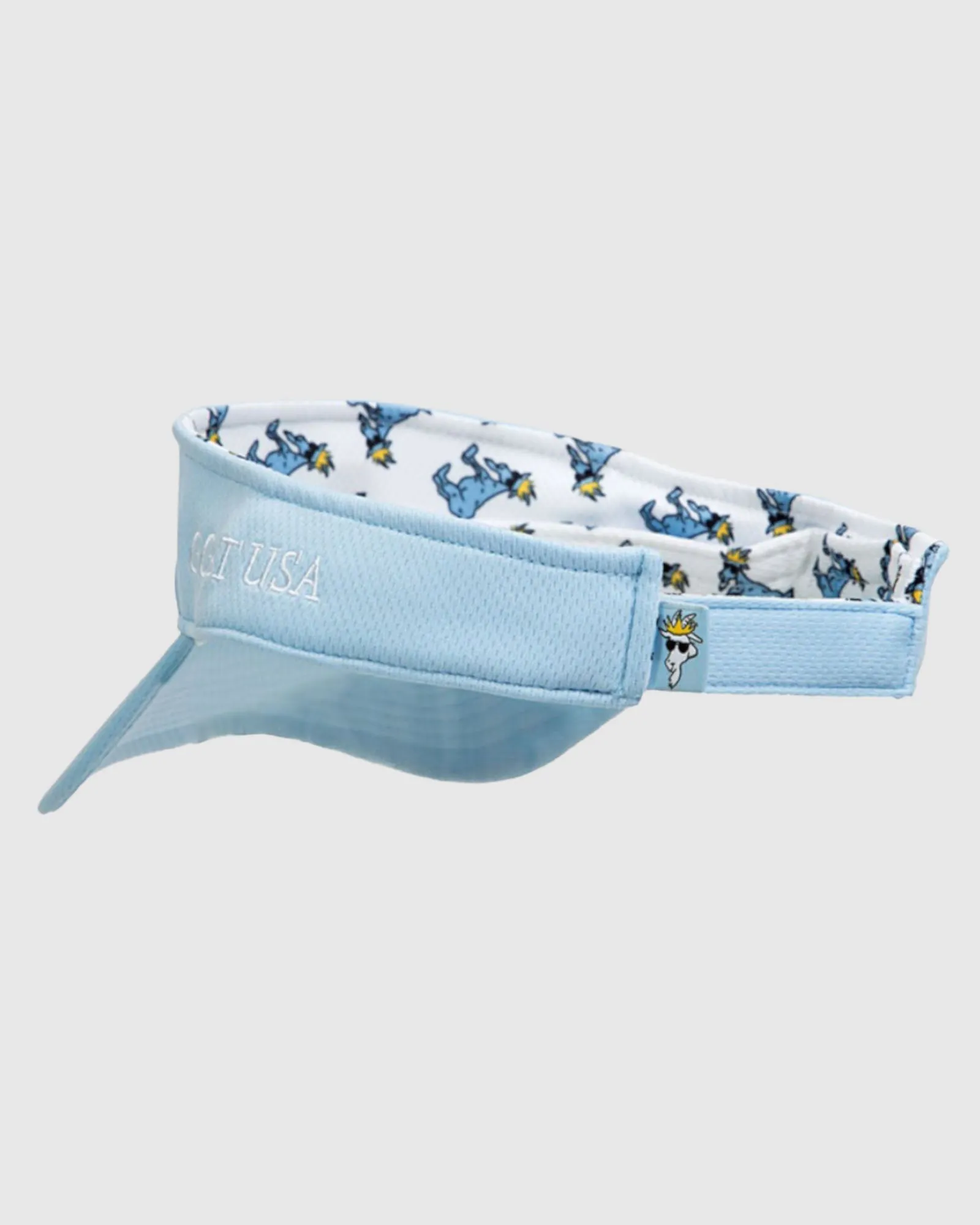OG Visor