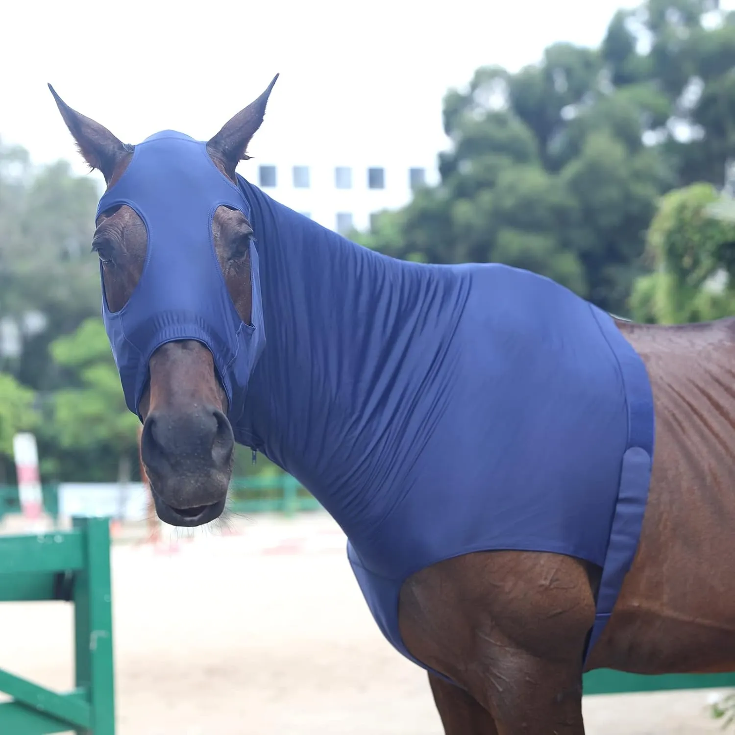 Stretch Horse Slinky Hood Spandex Mane Stay Hoods with Zipper Navy X-Large