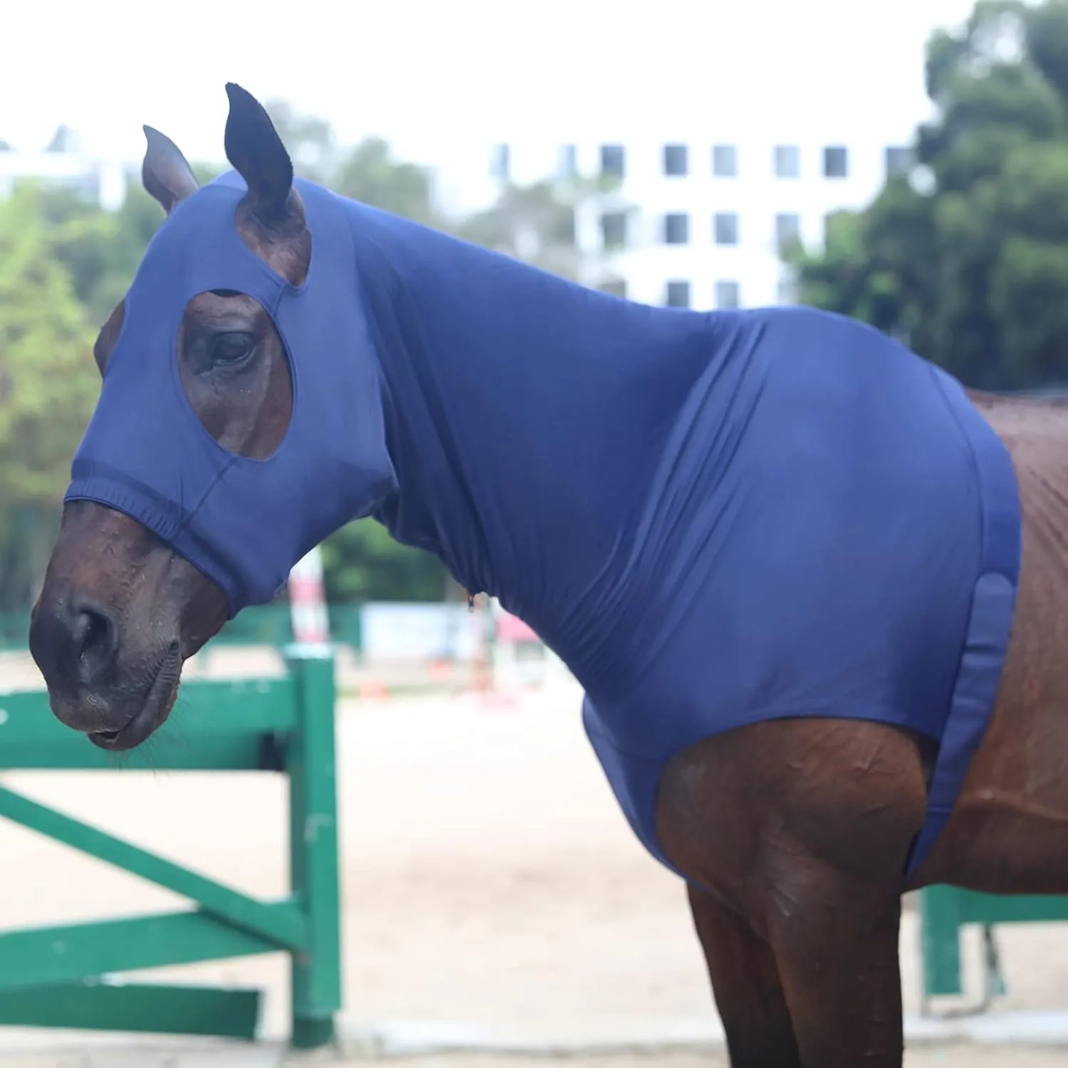 Stretch Horse Slinky Hood Spandex Mane Stay Hoods with Zipper Navy X-Large